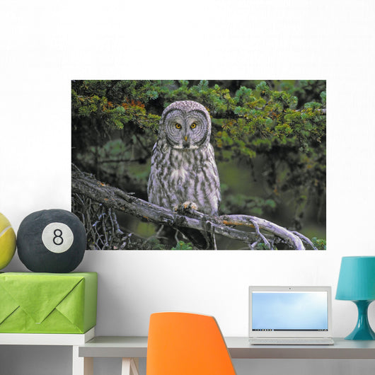 Tk0662, Thomas Kitchin Wall Mural