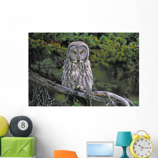 Tk0662, Thomas Kitchin Wall Mural
