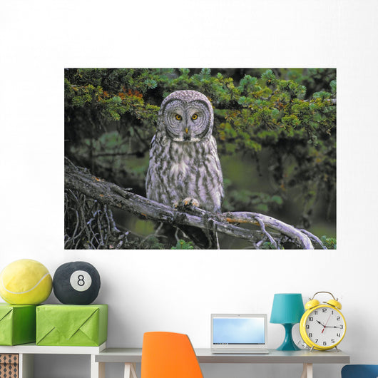 Tk0662, Thomas Kitchin Wall Mural