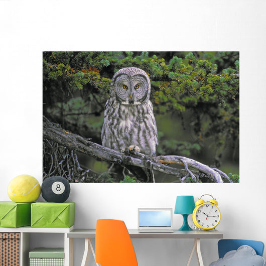 Tk0662, Thomas Kitchin Wall Mural