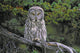 Tk0662, Thomas Kitchin Wall Mural
