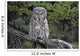 Tk0662, Thomas Kitchin Wall Mural