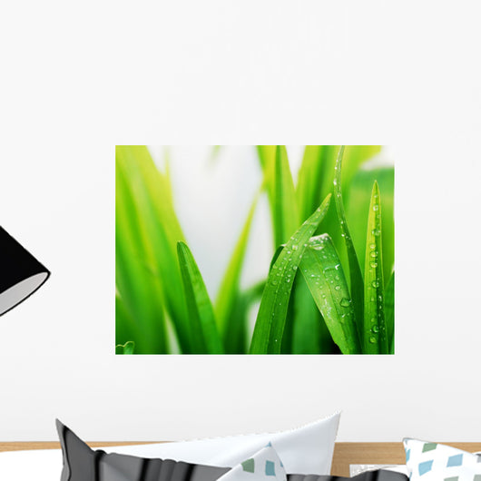 Wet green grass Wall Mural
