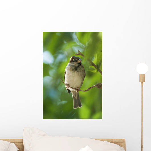 A Sparrow Perched On A Small Branch Wall Mural