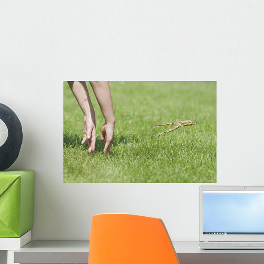 Hands Of Young Child Making Leopard Frog Jump Wall Mural