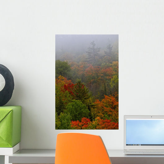 Autumn Colours In The Mist In Cottage Country Wall Mural