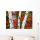 Birch Trees Surrounded By Red Maple Leaves In Algonquin Park Wall Mural