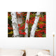 Birch Trees Surrounded By Red Maple Leaves In Algonquin Park Wall Mural