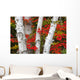 Birch Trees Surrounded By Red Maple Leaves In Algonquin Park Wall Mural