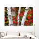 Birch Trees Surrounded By Red Maple Leaves In Algonquin Park Wall Mural