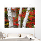 Birch Trees Surrounded By Red Maple Leaves In Algonquin Park Wall Mural