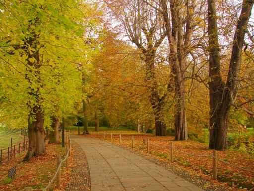 Autumn Walk Wall Decal