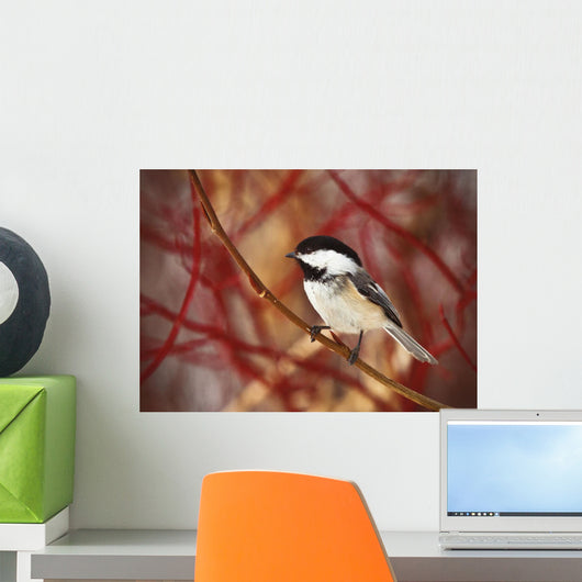 A Chickadee Sits On A Tree Branch With Red Twigs In The Background Wall Mural