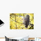 Barred Owl Wall Mural