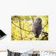 Barred Owl Wall Mural