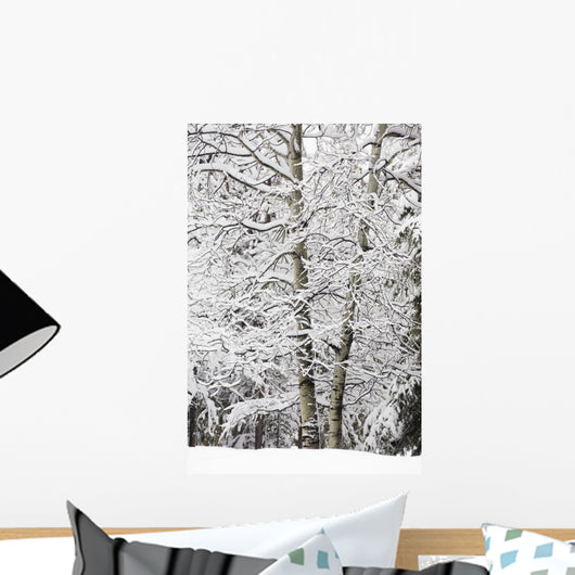 Snow Covered Trees Wall Mural