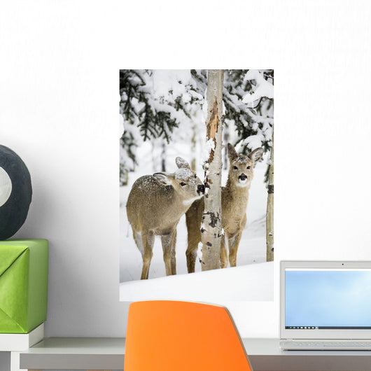 Two Young Deer In A Snow Covered Forest Chewing On Tree Bark Wall Mural