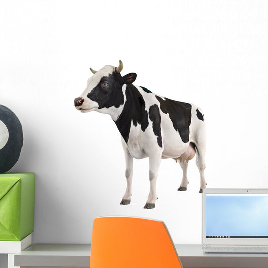 Cow Wall Decal