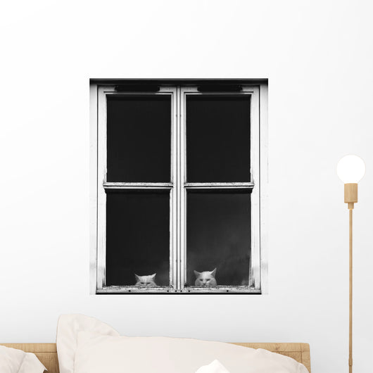 Two White Cats Sitting Side By Side Looking Out A Window Wall Mural