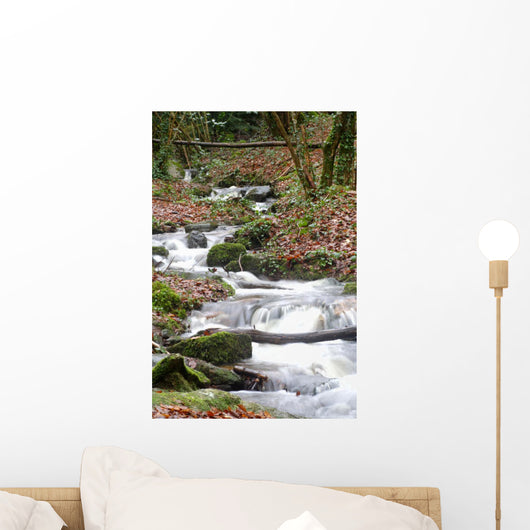 Rivia re 1 Wall Mural
