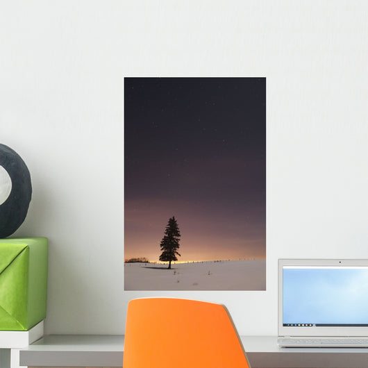Stars In The Night Sky With A Lone Tree Wall Mural