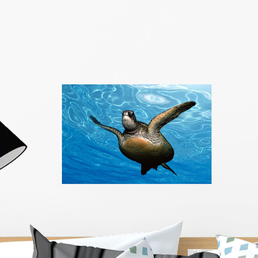 Close-up front underside view green sea turtle Wall Mural