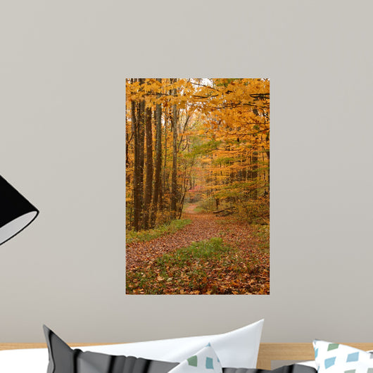 Autumn Trail Smokies