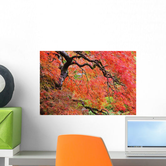 Autumn Colours At The Japanese Gardens Wall Mural