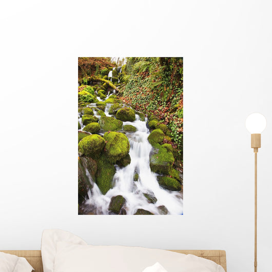 Green moss Wall Mural