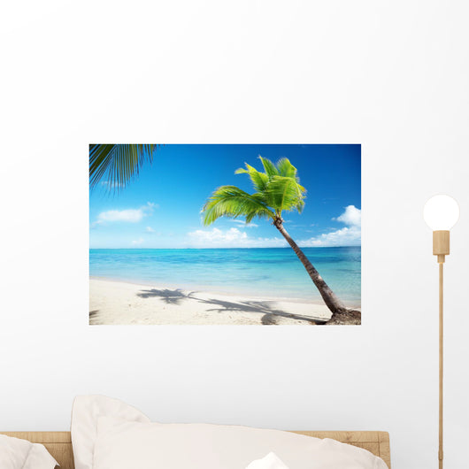Caribbean sea and coconut palm Wall Mural