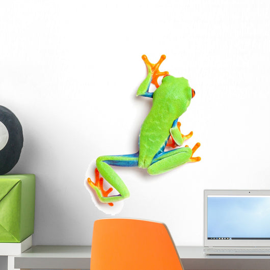 Frog From Above Walking Isolated on White Wall Decal