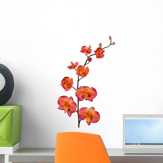 orange orchid Wall Decal