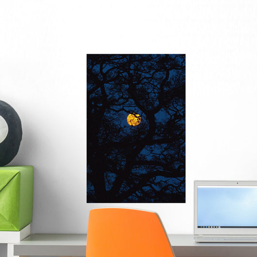Moon Rising Behind Old Oak Tree, Petersfield, Hampshire, Uk Wall Mural