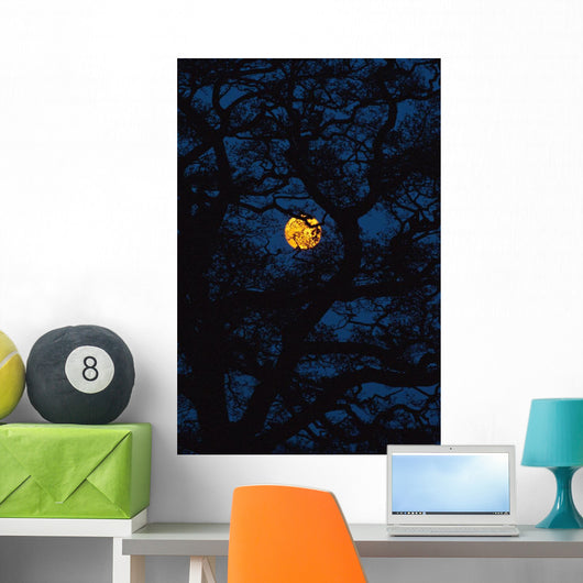 Moon Rising Behind Old Oak Tree, Petersfield, Hampshire, Uk Wall Mural