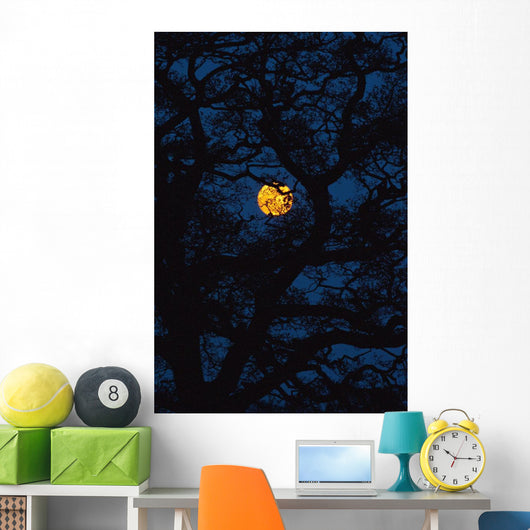 Moon Rising Behind Old Oak Tree, Petersfield, Hampshire, Uk Wall Mural