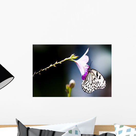 Tropical Rainforest Butterfly Wall Mural