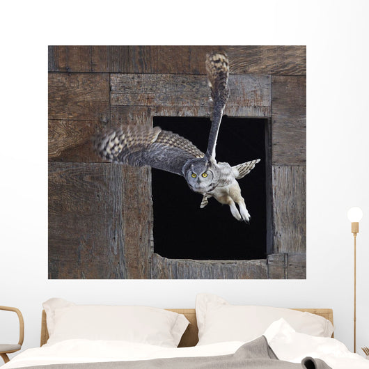 Great Horned Owl Flying Out Of An Old Barn Window Wall Mural