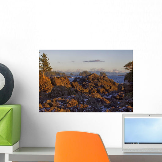 Rocky Coastline With Snow Wall Mural