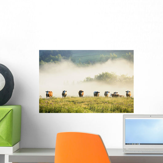 Group Of Cows In The Fog Wall Mural