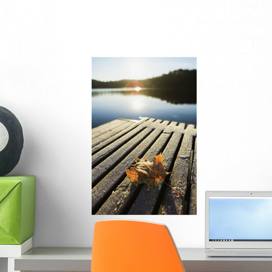 Sunrise Over Leaf On Floating Dock In Mont-Saint-Bruno National Park Wall Mural