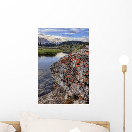 A Gentle Stream Flows Out Of Baker Lake Through The Skoki Wilderness Wall Mural