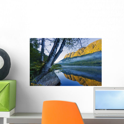 Mist On Jacques-Cartier River At Dawn In Jacques-Cartier National Park Wall Mural