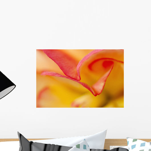 Macro View Of Begonia Petals, Girdwood, Southcentral Alaska, Summer Wall Mural