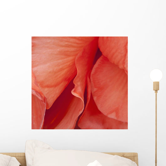 Macro View Of Red Begonia Petals Wall Mural