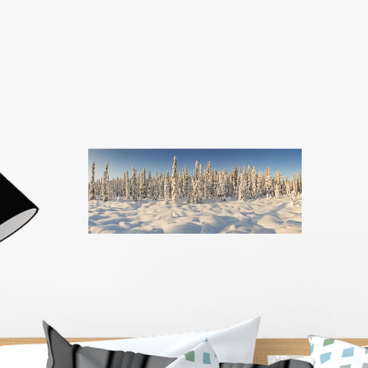 Panoramic View Of Snow-Covered Spruce Trees In Late Afternoon Sun Wall Mural