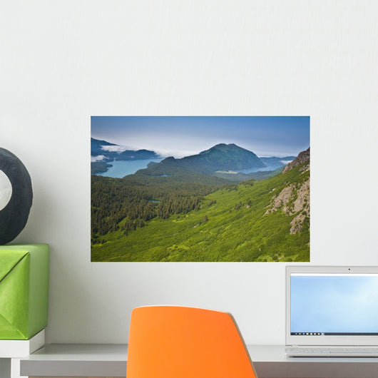Aerial View Of Alpine Area Wall Mural
