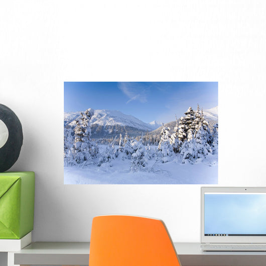 Winter Scenic Of Snowcovered Spruce Trees And The Chugach Mountains Wall Mural