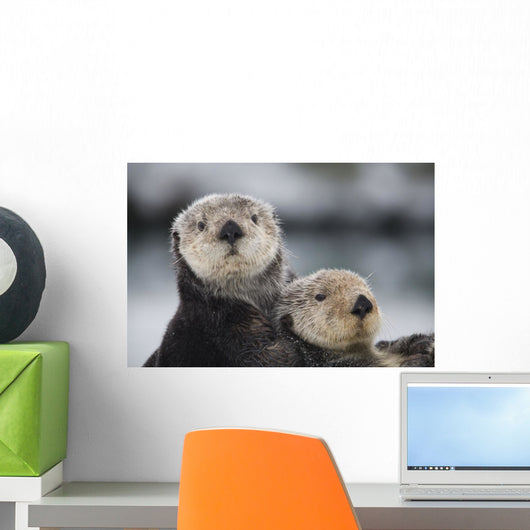 Close Up View Of Sea Otters Huddled Together Wall Mural