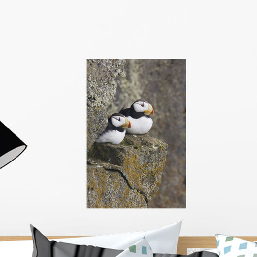 Horned Puffin Pair Perched On A Cliff Ledge During Summer Wall Mural