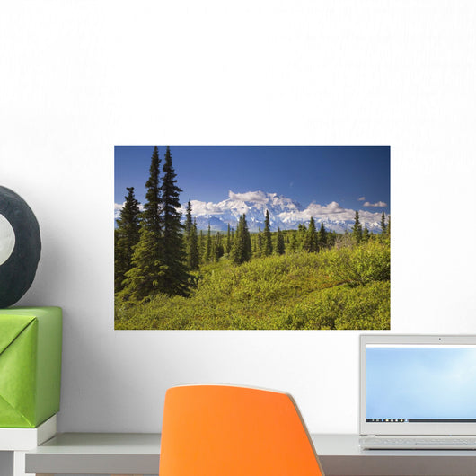 Mt Mckinley And The Alaska Range Wall Mural